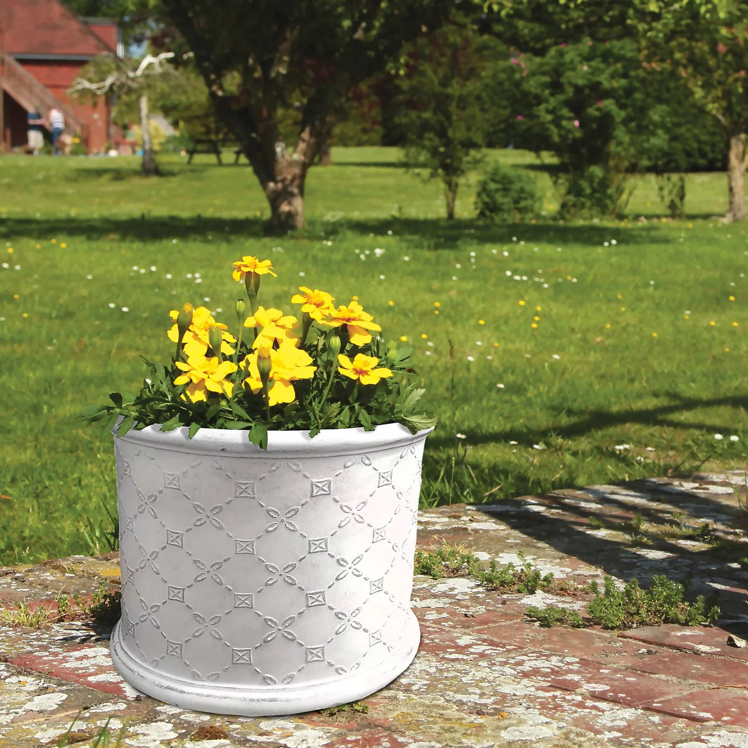 Mayfair Antique White Cylinder Plant Pot - 23cm 2 Mayfair Antique White Cylinder Plant Pot - 23cm - Image 2
