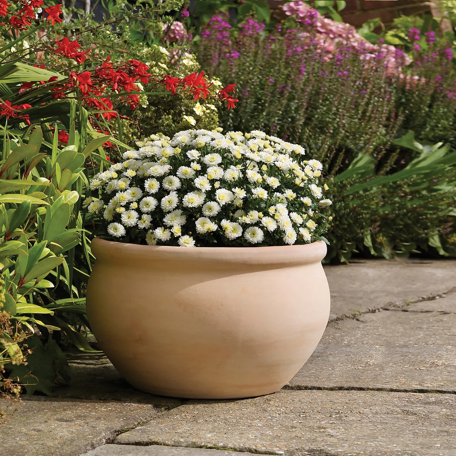 Regency Terracotta Bowl - 22cm 2 Regency Terracotta Bowl - 22cm - Image 2