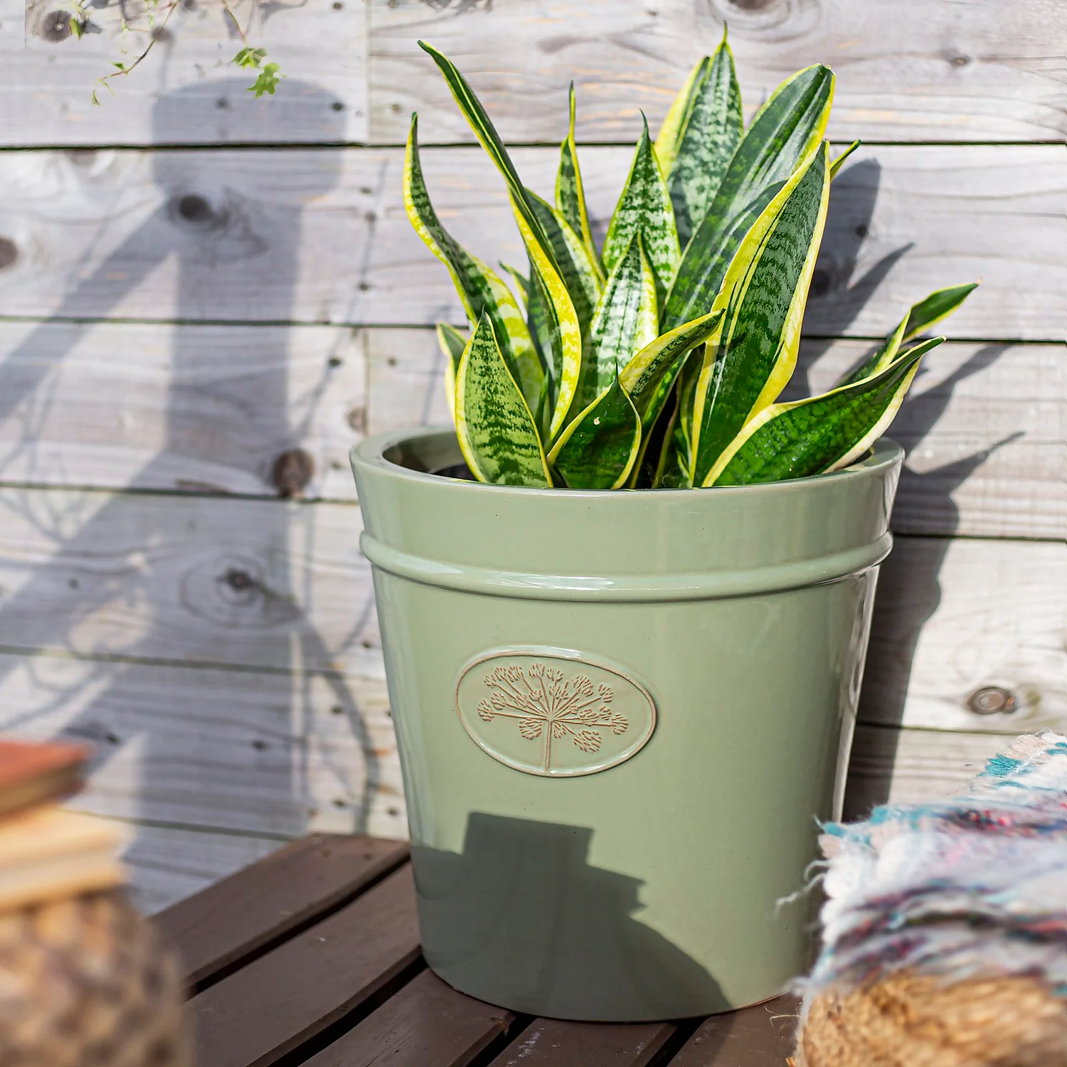 Country Living Heritage Sage Cone Pot - 27cm 5 Country Living Heritage Sage Cone Pot - 27cm - Image 5