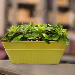 Ribbed Trough Planter Mix - 40cm -Garden Tool Store 13193959 8694904495671113