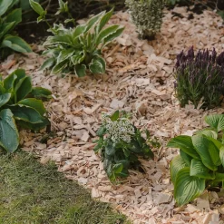 Westland Rustic Wood Chips - 60L 6 Westland Rustic Wood Chips - 60L -Garden Tool Store 13280769 1564929084866478