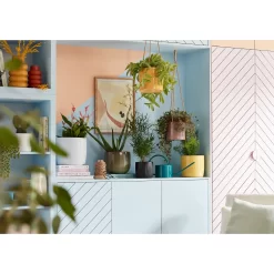 Black Ebano Plant Pot - 13cm -Garden Tool Store 13432912 4404948249771884