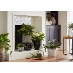 Perla White Plant Pot - 15cm 6 Perla White Plant Pot - 15cm -Garden Tool Store 13432913 1474948242881271