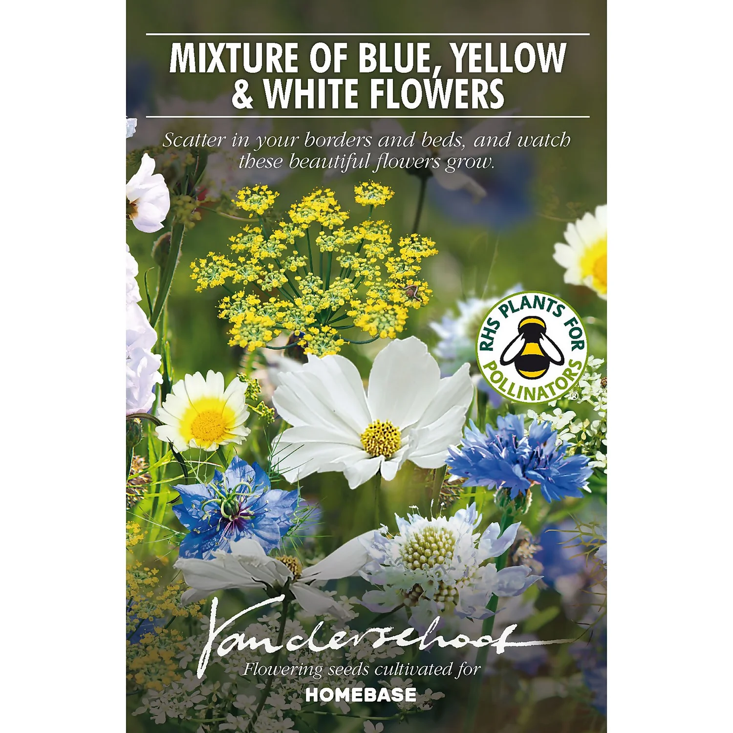 None Seed Mixture Of Blue, Yellow And White Flowers 2 None Seed Mixture Of Blue, Yellow And White Flowers - Image 2