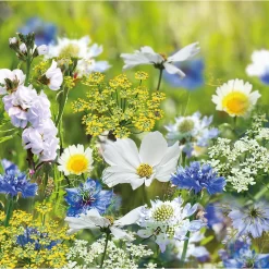 None Seed Mixture Of Blue, Yellow And White Flowers 5 None Seed Mixture Of Blue, Yellow And White Flowers -Garden Tool Store 13436284 5255022448178739