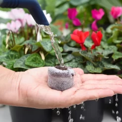 Coco & Coir Seed Germination Dots - 40mm -Garden Tool Store 13487129 3894919981363337