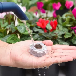 Coco & Coir Seed Germination Dots - 40mm -Garden Tool Store 13487129 7814919981385408