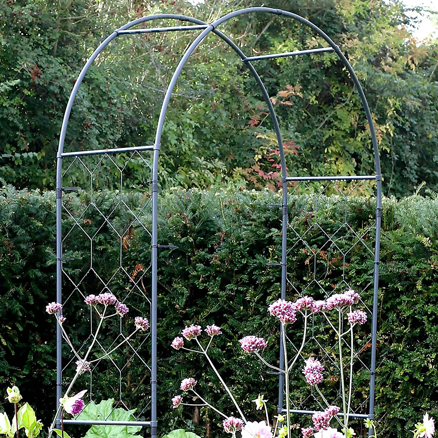Agriframes Round Garden Arch - (H)2.3 X (W)1.5 X (D)0.45 M - Black 2 Agriframes Round Garden Arch - (H)2.3 X (W)1.5 X (D)0.45 M - Black - Image 2