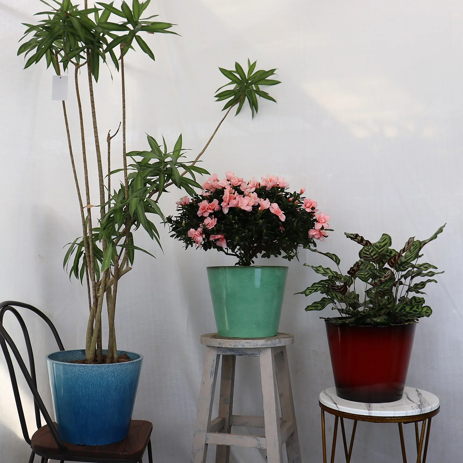 Glazed Finish Planter Mustard 50cm 6 Glazed Finish Planter Mustard 50cm - Image 6