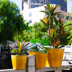 Glazed Finish Planter Mustard 50cm 10 Glazed Finish Planter Mustard 50cm -Garden Tool Store 13928633 7695001956315193