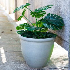 Ashford Planter Grey 35cm -Garden Tool Store 13928636 1105001955420998