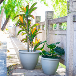 Ashford Planter Grey 35cm -Garden Tool Store 13928636 1795001955680876