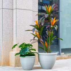 Ashford Planter Grey 35cm -Garden Tool Store 13928636 4345001955583745