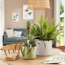 Scheurich Ripple White Indoor Pot - 14cm -Garden Tool Store 13953256 4084987120164177