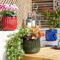 Chiswick Running Pot Green - 24cm -Garden Tool Store 13973645 8125011238664162