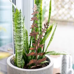 Floral Bronze Ground Stakes - 45cm (Assorted Designs) -Garden Tool Store 13981009 1695005324721013