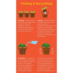 Westland Cacti & Succulent Potting Mix Peat Free 4L -Garden Tool Store 14013786 1245003754031248