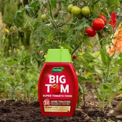 Westland Big Tom Super Tomato Food 7 Westland Big Tom Super Tomato Food -Garden Tool Store 14013789 1265003754036822