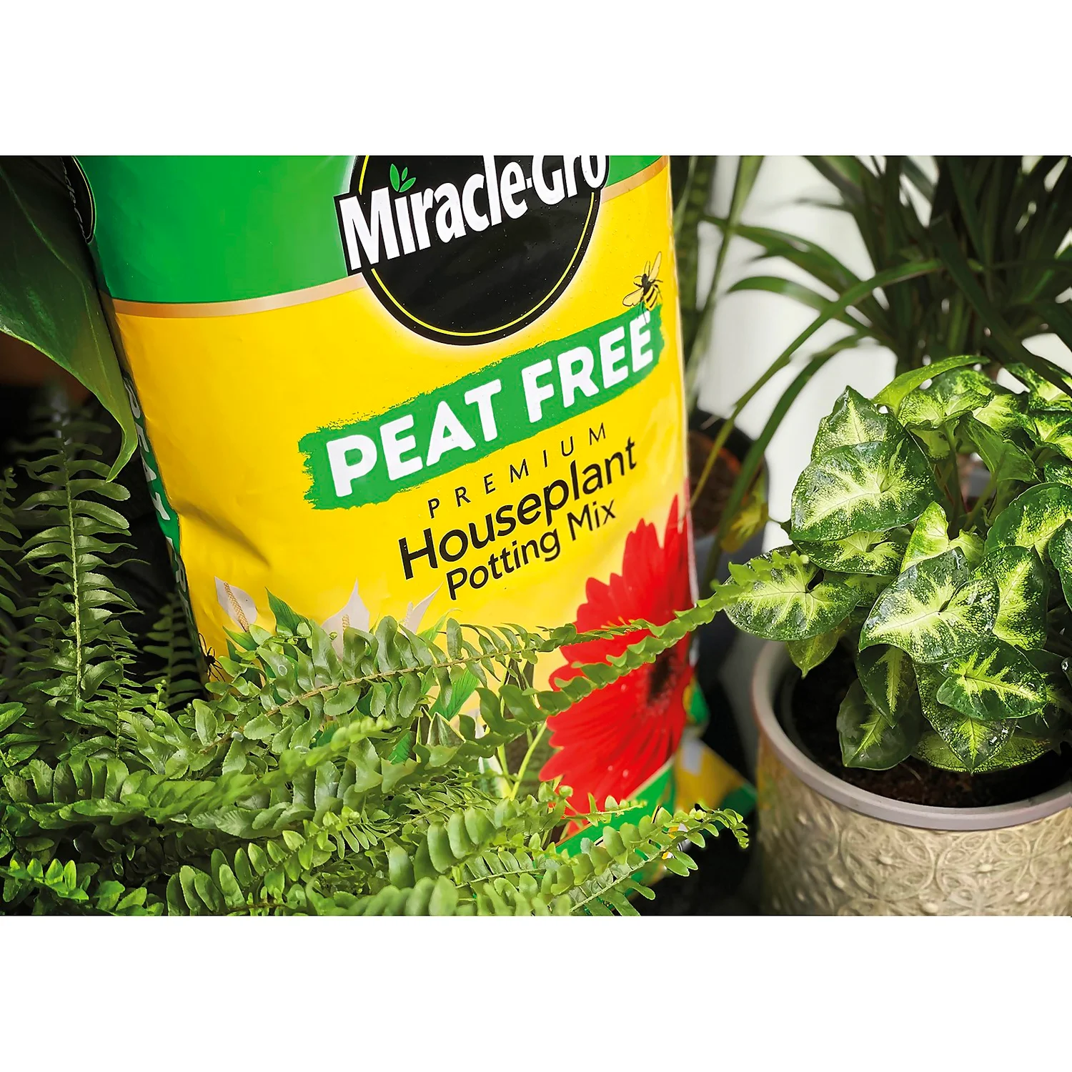 Miracle-Gro Premium Houseplant Potting Mix 10L 2 Miracle-Gro Premium Houseplant Potting Mix 10L - Image 2